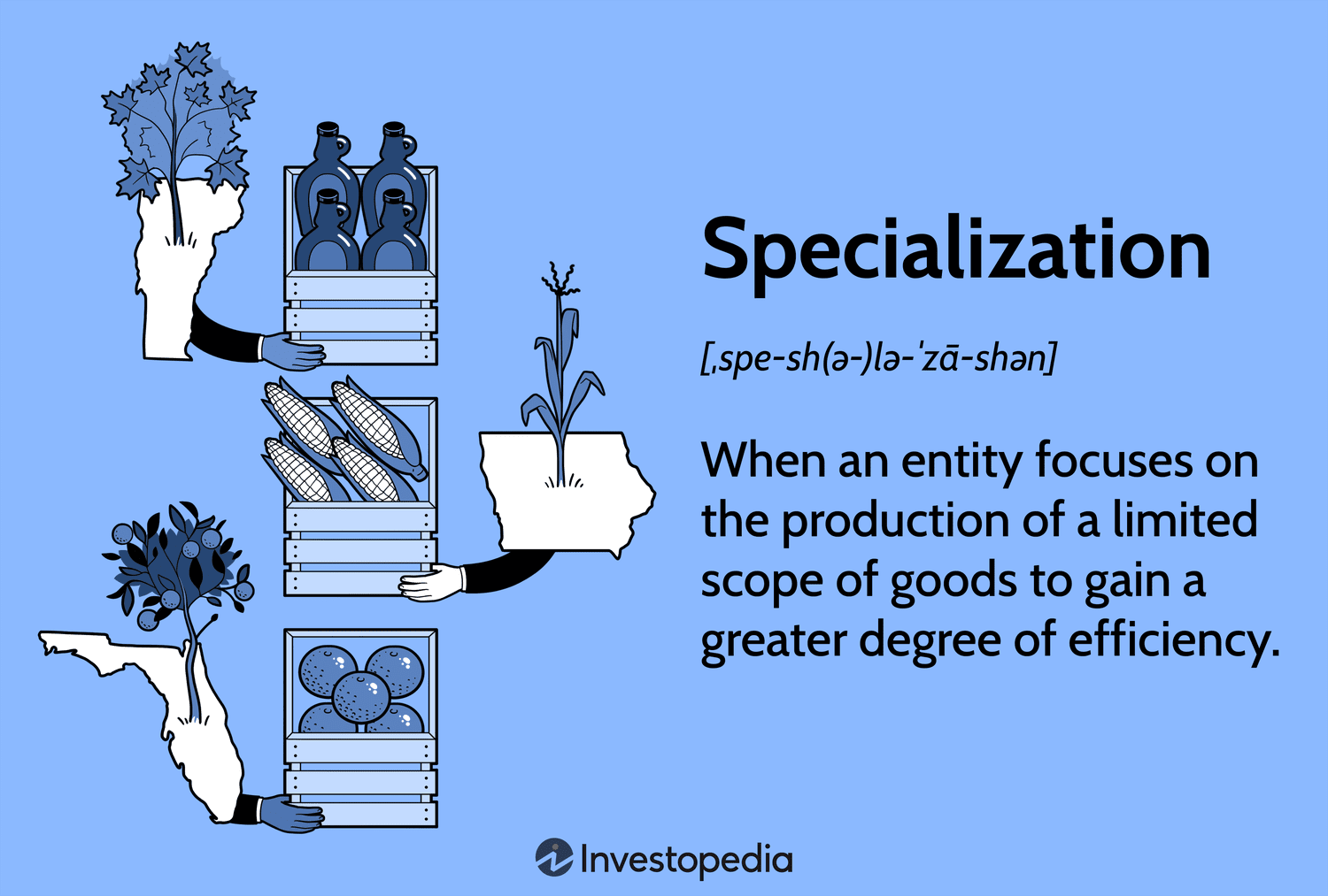 Understanding the Role of Specializations in Enhancing Job Prospects